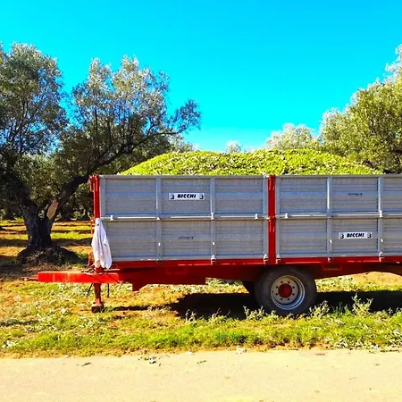 Feudo Delle Querce